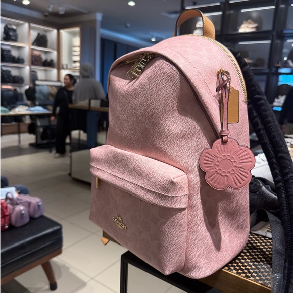 NWT Coach OUTLET Taylor Small Backpack In Powder PinK CEF46 - Picture 2 of 4